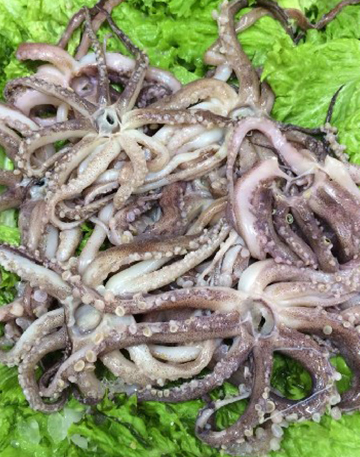 Tentaculos