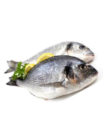 Pacu entero (precio por kg.)