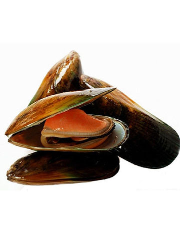 Cholgas
