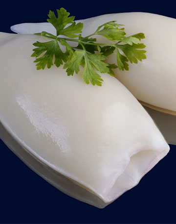 Tubo de calamar (x KG)